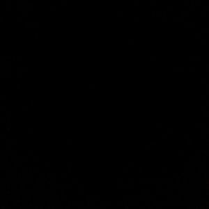 Meet your Posher, Lucy